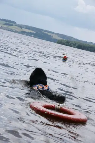 Семинар по службе спасения на водах, фотография 1