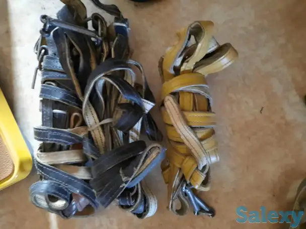 Жүген,ноқта, құлақбау, құйысқан , өмілдірік, фотография 2