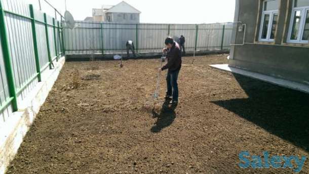 посадка газона, фотография 3