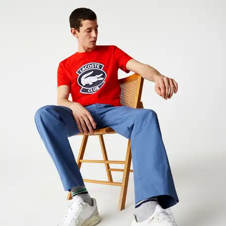 Мужская футболка lacoste, фотография 1