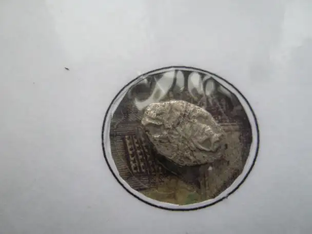 Копейка 1704 гол Царь Петр1 серебро, фотография 2