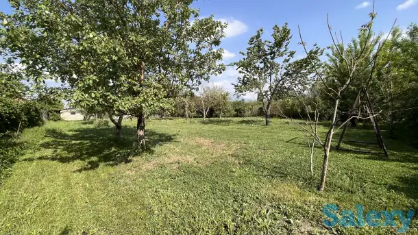 Продам большой дом с двумя входами отдельно и 24 сотки земли, фотография 10