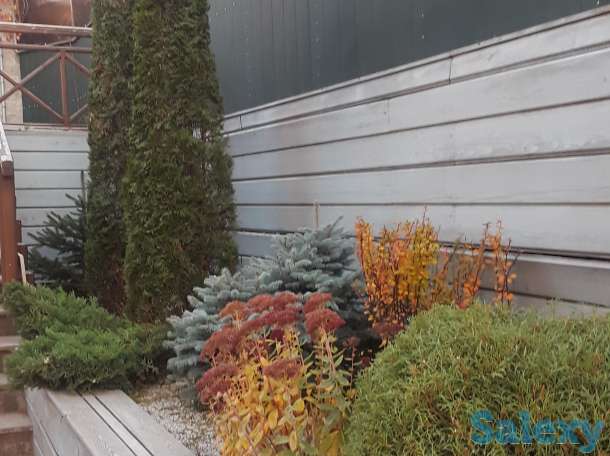 Профессиональный ландшафтный дизайн в Алматы!, фотография 2