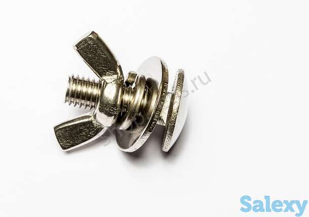 Комплект стяжной (болт d8+шайба+гровер+барашек), 25 мм, фотография 1