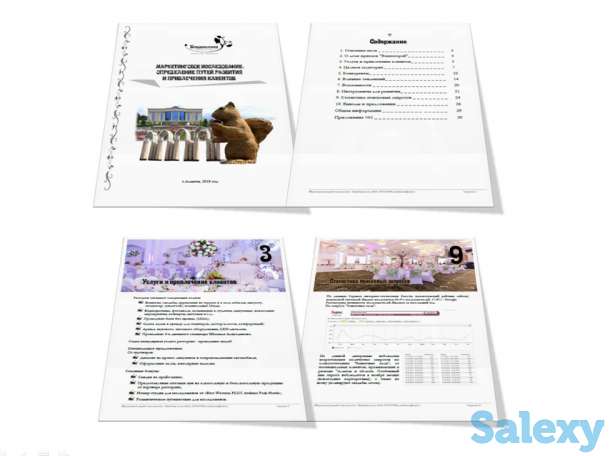 Маркетинговые исследования или анализ бизнеса, фотография 5