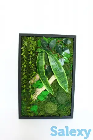 Картины из стабилизированного мха, фотография 1