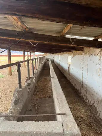 Фазенда, фотография 10