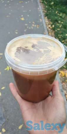 Алтайский мед, фотография 1