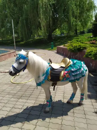 пони на Детский праздник, фотография 13