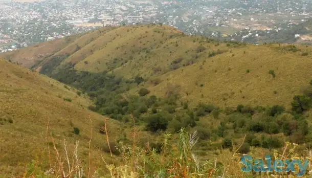 Продам дача, Коклайсай, фотография 1