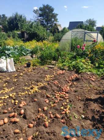 Продам Дача участок Федоровское водохранилище, 6 соток, Фёдоровка., фотография 1