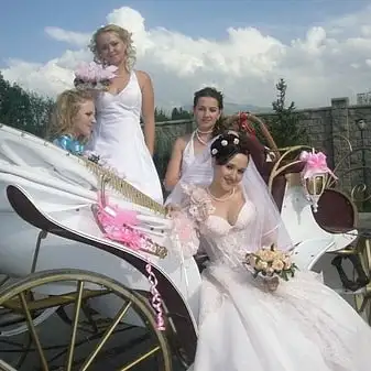 аренда кареты, фотография 6