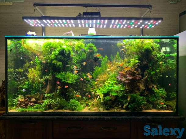 Аквариум под ключ на 865 литров, фотография 2