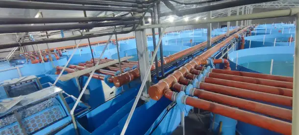 Проектирование, строительство, монтаж Установки Замкнутого Водоснабжения УЗВ, фотография 8