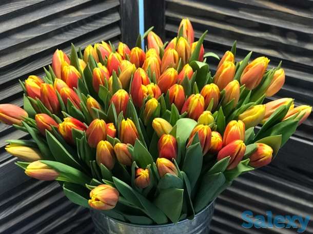 Тюльпаны оптом, фотография 4