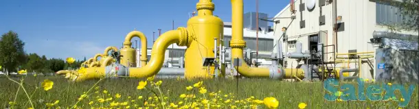 Проект СЗЗ (санитарно-защитной зоны), фотография 1