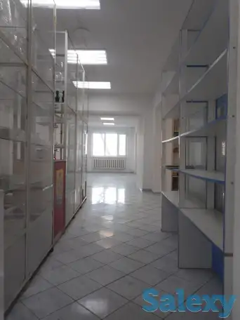 Продам коммерческую недвижимость, ул Чокина, фотография 4