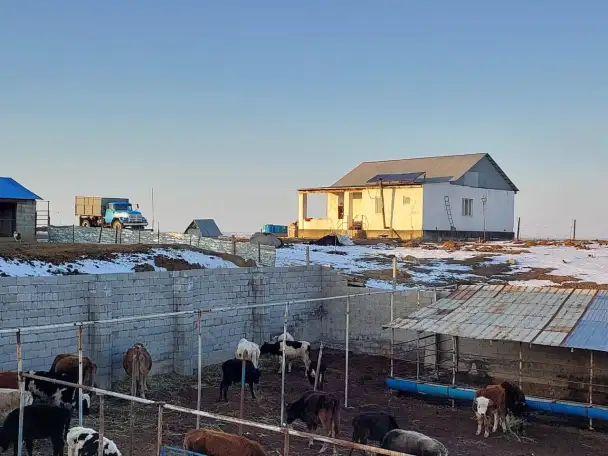 Фазенда, Кольащы, фотография 2