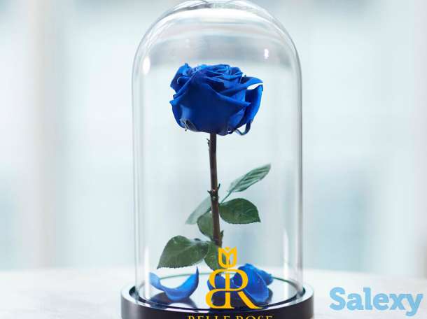 Живая Роза в стеклянной колбе - Бесплатная Доставка, фотография 7