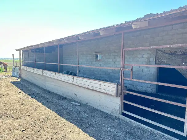 Фазенда, Кольащы, фотография 19