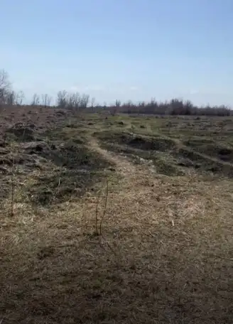 продажа земли КХ под фермерское хозяйство, Алматинская обл, пос Еламан, фотография 1