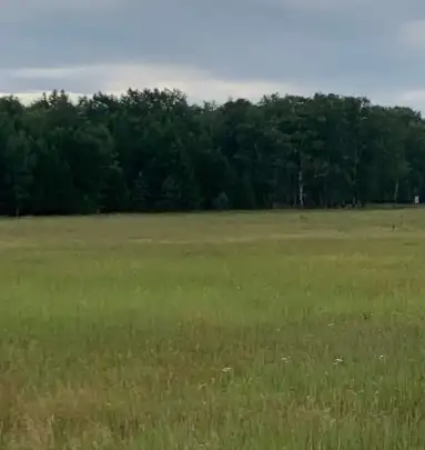 продам ИЖС участок в Боровом Щучинск, фотография 1