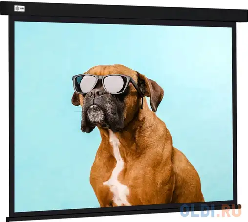 Экран настенно-потолочный cactus cs-psw-183x244-bk 244 x 183 см, фотография 1