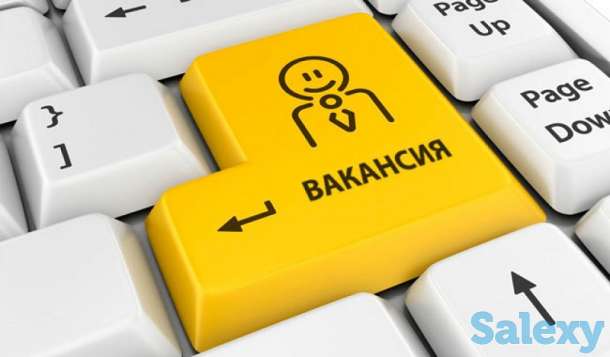 Требуется бухгалтер в продуктовый магазин, фотография 1