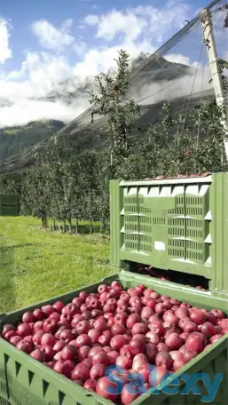 Антиградовая сетка для яблок, винограда и других культур, фотография 2