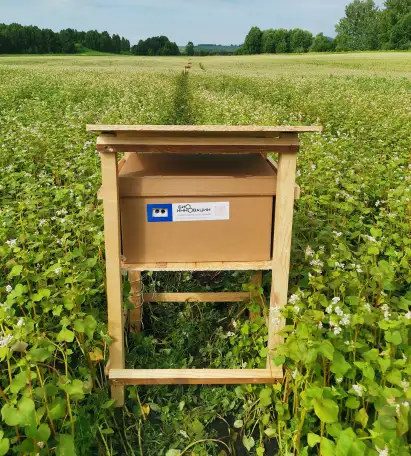 Шмелиная семья БиоИнновации Стандарт. Для опыления растений., фотография 3