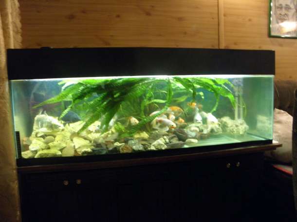 продам два аквариума, фотография 6