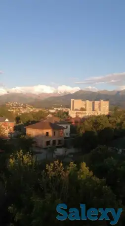 Спил деревьев по городу Алматы и Алматинской области, фотография 8