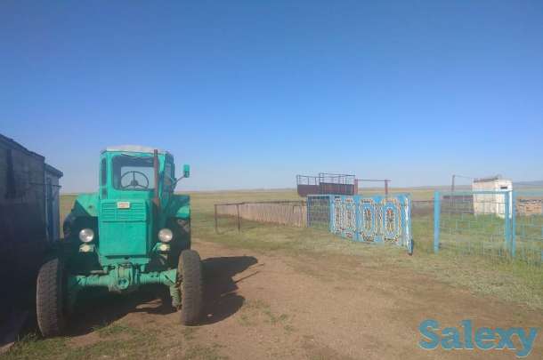 Крестьянское хозяйство, Карагандинская область, Осакаровский район, сАманконыр (с Дальнее), фотография 6
