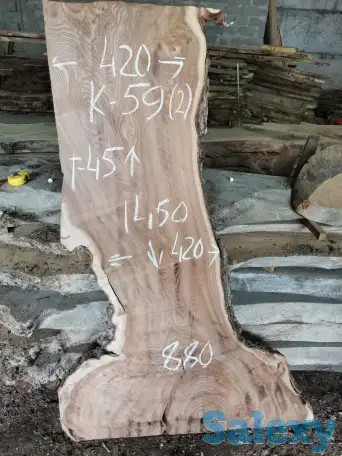 Слэбы от производителя из дуба, шпальтового бука, капового тополя, вербы, капового карагача, ясеня., фотография 15