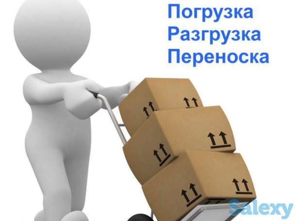 Мы в поисках Грузчика, фотография 1