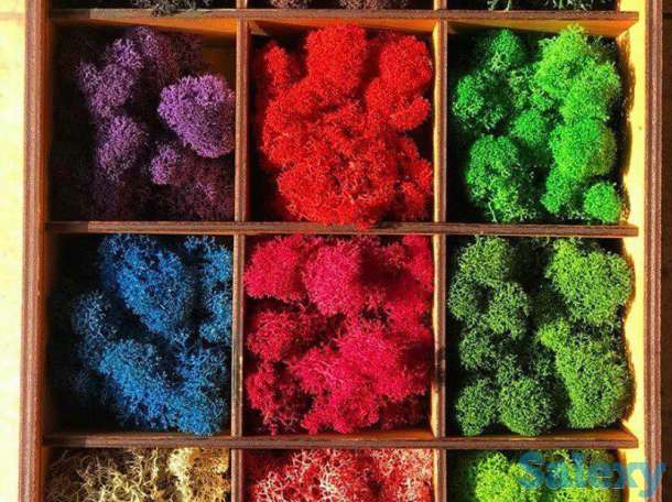 Озеленение интерьеров, фотография 1