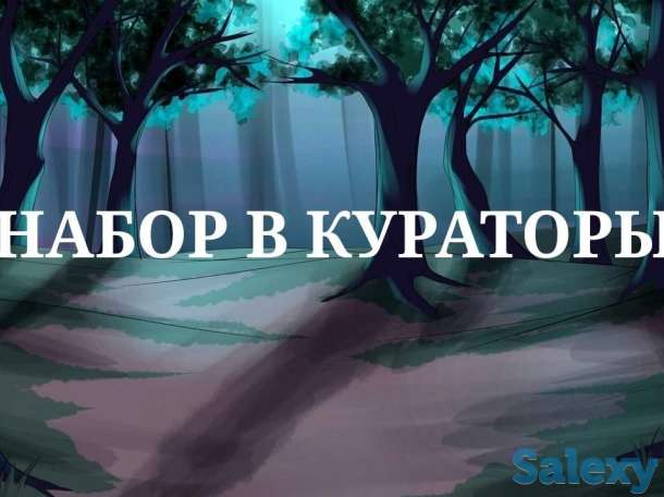 Куратор в онлайн школу, фотография 1