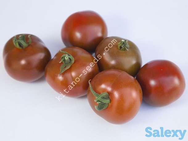 Семена коричневого томата KS 3900 F1, KITANO SEEDS, фотография 1