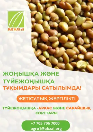 Компанияны негзг ндылыы  ондаан жылдар бойы жинаталан ерекше блм мен тжрибе, сапалы нм ндруде, фотография 6
