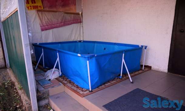 Продам дом, цех, баню! ГОТОВЫЙ БИЗНЕС! Срочно!, Таскескен 73, фотография 4