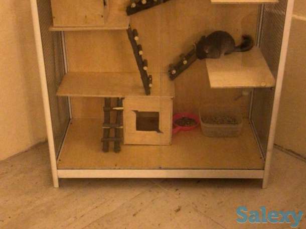 Клетки для шиншилл , белок , хорьков и прочих грызунов, фотография 7