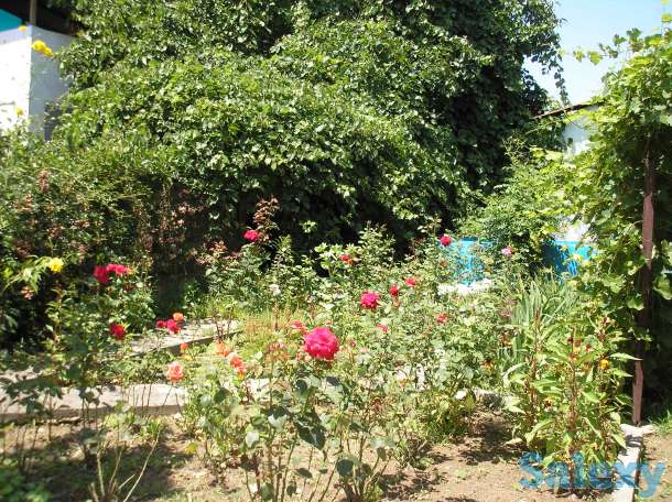 Продажа дачи, н.п Райымбек в 5 км.  от , фотография 7