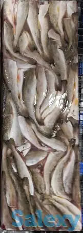 Рыба св.мороженная во Владивостоке., фотография 4