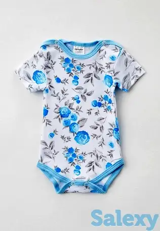 Боди котмаркот, фотография 1