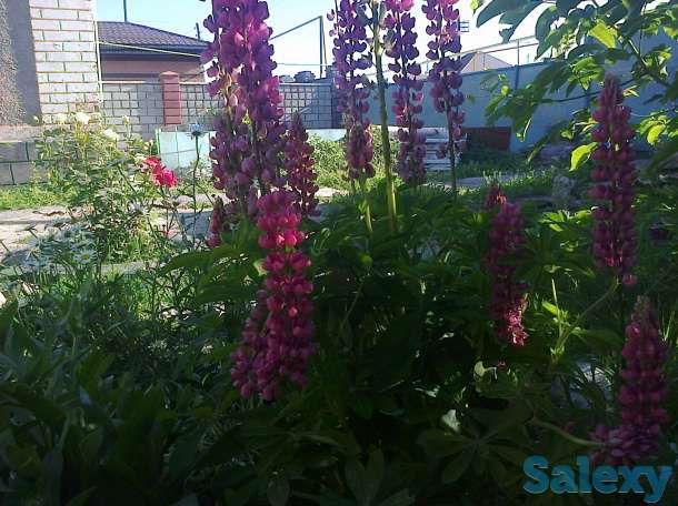 продам дом срочно с участком, микр достык  ул садвокасова 198, фотография 3