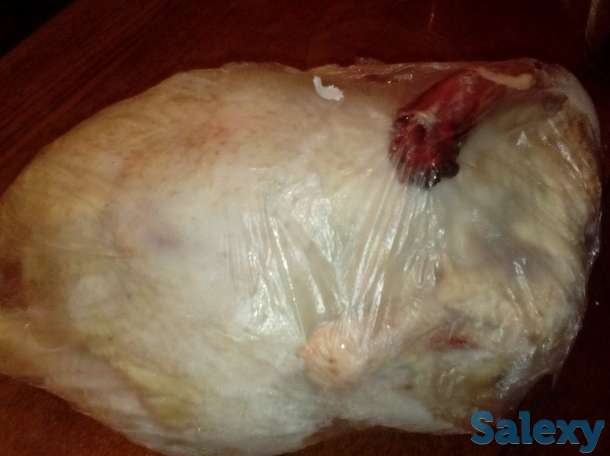 Продам бройлеров., фотография 3