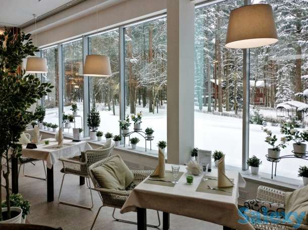 Ремонт ресторанов и кафе, фотография 5