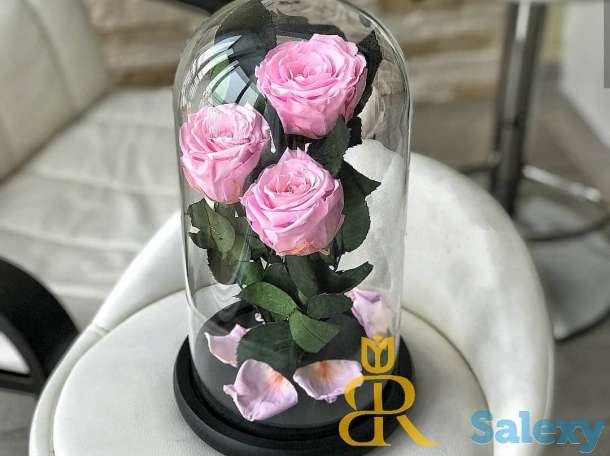 Живая Роза в стеклянной колбе - Бесплатная Доставка, фотография 8