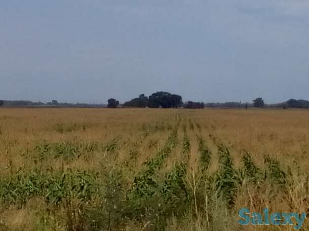 Продается участок к/х 25га, Алматинская область,Енбекшиказахский район,с.Космос., фотография 1