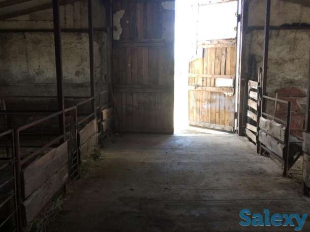 Продаётся животноводческая ферма, фотография 1